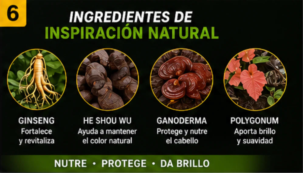 SHAMPOO TINTE CUBRE CANAS  BLACK HAIR DYE